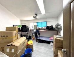 Hougang Avenue 1 (D19), Shop House #623033201